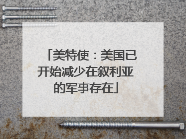美特使：美国已开始减少在叙利亚的军事存在
