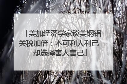 美加经济学家谈美钢铝关税加倍：本可利人利己 却选择害人害己