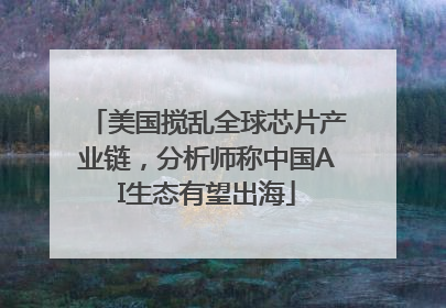 美国搅乱全球芯片产业链，分析师称中国AI生态有望出海