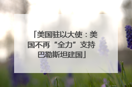 美国驻以大使：美国不再“全力”支持巴勒斯坦建国
