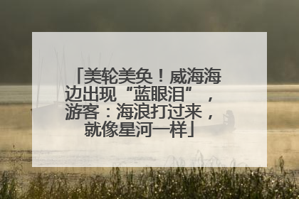 美轮美奂！威海海边出现“蓝眼泪”，游客：海浪打过来，就像星河一样