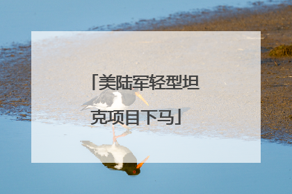 美陆军轻型坦克项目下马