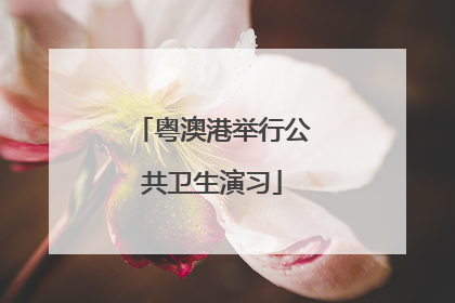 粤澳港举行公共卫生演习