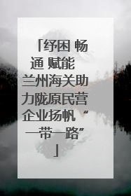 纾困 畅通 赋能 兰州海关助力陇原民营企业扬帆“一带一路”
