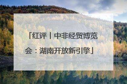 红评丨中非经贸博览会：湖南开放新引擎