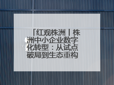 红观株洲丨株洲中小企业数字化转型：从试点破局到生态重构的进阶之路