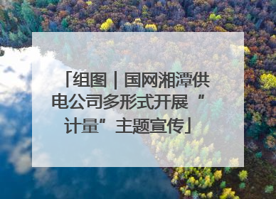 组图｜国网湘潭供电公司多形式开展“计量”主题宣传