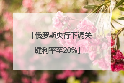 俄罗斯央行下调关键利率至20%