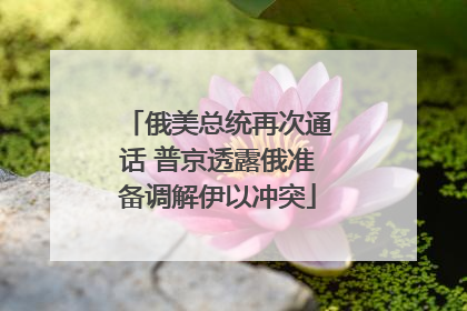 俄美总统再次通话 普京透露俄准备调解伊以冲突