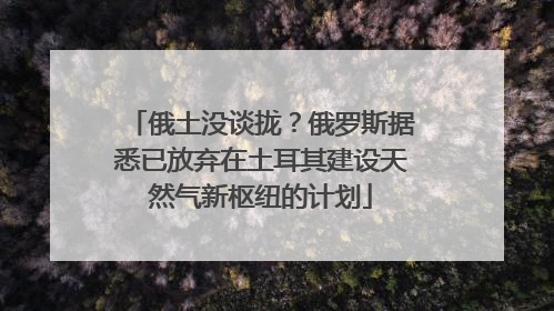 俄土没谈拢？俄罗斯据悉已放弃在土耳其建设天然气新枢纽的计划