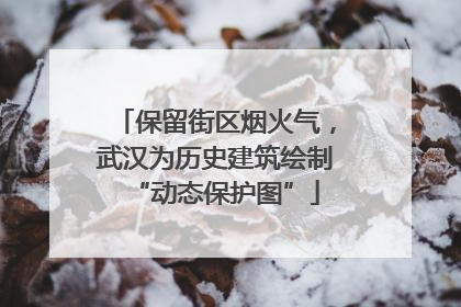 保留街区烟火气，武汉为历史建筑绘制“动态保护图”