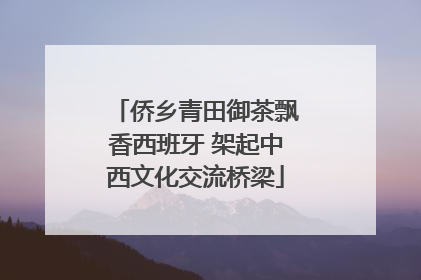 侨乡青田御茶飘香西班牙 架起中西文化交流桥梁