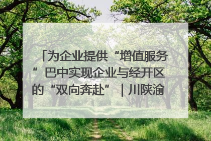 为企业提供“增值服务”巴中实现企业与经开区的“双向奔赴”｜川陕渝网络名人巴中行