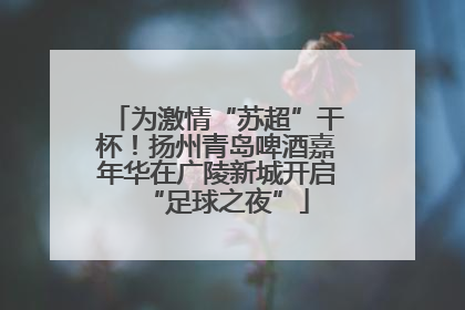 为激情“苏超”干杯！扬州青岛啤酒嘉年华在广陵新城开启“足球之夜”