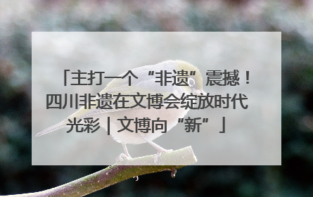 主打一个“非遗”震撼！四川非遗在文博会绽放时代光彩｜文博向“新”