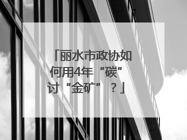 丽水市政协如何用4年“碳”讨“金矿”？