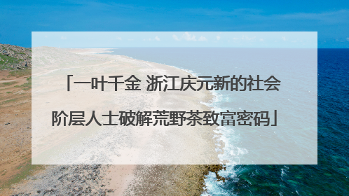 一叶千金 浙江庆元新的社会阶层人士破解荒野茶致富密码