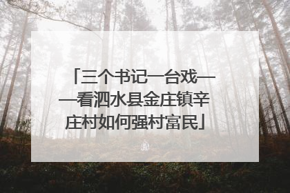 三个书记一台戏——看泗水县金庄镇辛庄村如何强村富民