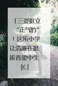 三姿挺立“正气竹”！这所小学让清廉在挺拔脊梁中生长