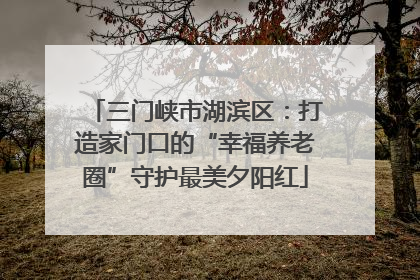 三门峡市湖滨区：打造家门口的“幸福养老圈”守护最美夕阳红