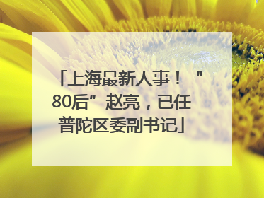 上海最新人事！“80后”赵亮，已任普陀区委副书记