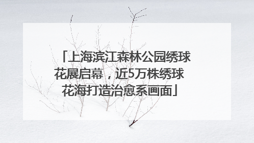 上海滨江森林公园绣球花展启幕，近5万株绣球花海打造治愈系画面