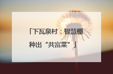 下瓦泉村：智慧棚种出“共富菜”