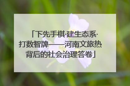 下先手棋·建生态系·打数智牌——河南文旅热背后的社会治理答卷