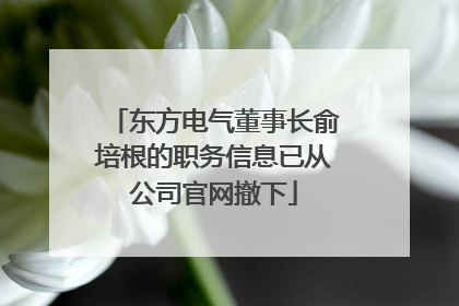 东方电气董事长俞培根的职务信息已从公司官网撤下