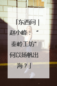 东西问｜赵小峰：“秦岭工坊”何以扬帆出海？