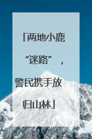 两地小鹿“迷路”，警民携手放归山林