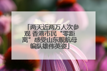 两天近两万人次参观 香港市民“零距离”感受山东舰航母编队雄伟英姿