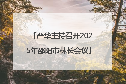 严华主持召开2025年邵阳市林长会议
