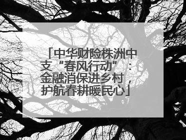 中华财险株洲中支“春风行动”：金融消保进乡村，护航春耕暖民心