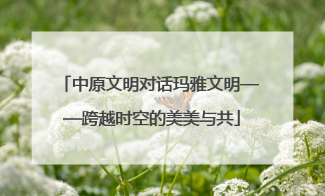 中原文明对话玛雅文明——跨越时空的美美与共