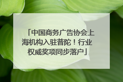 中国商务广告协会上海机构入驻普陀！行业权威奖项同步落户