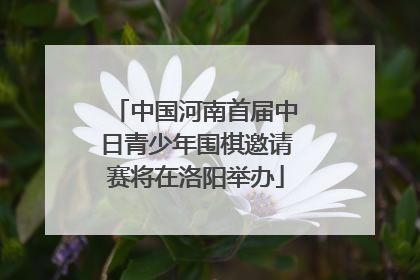 中国河南首届中日青少年围棋邀请赛将在洛阳举办
