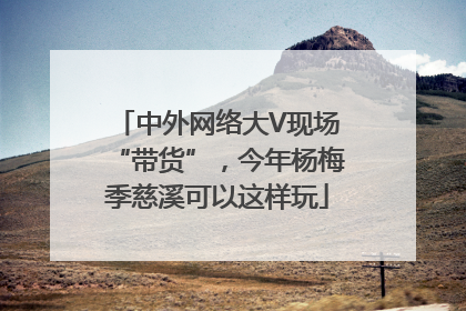 中外网络大V现场“带货”，今年杨梅季慈溪可以这样玩