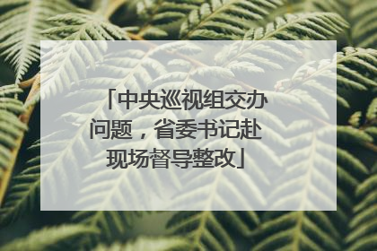中央巡视组交办问题，省委书记赴现场督导整改