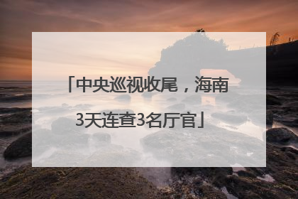 中央巡视收尾，海南3天连查3名厅官