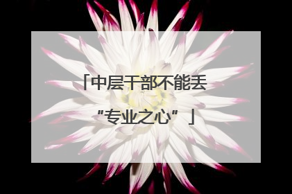 中层干部不能丢“专业之心”