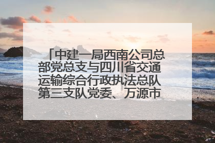 中建一局西南公司总部党总支与四川省交通运输综合行政执法总队第三支队党委、万源市草坝镇莲花院村党支部开展党建联建
