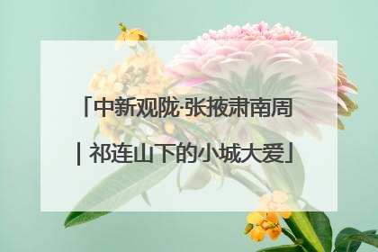 中新观陇·张掖肃南周｜祁连山下的小城大爱