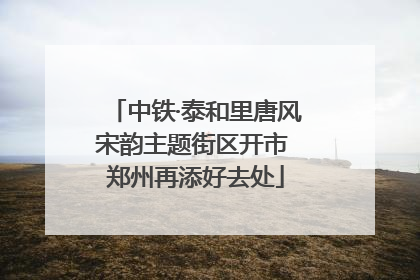 中铁·泰和里唐风宋韵主题街区开市 郑州再添好去处