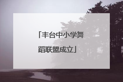 丰台中小学舞蹈联盟成立