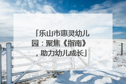 乐山市惠灵幼儿园：聚焦《指南》，助力幼儿成长