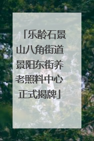 乐龄石景山八角街道景阳东街养老照料中心正式揭牌