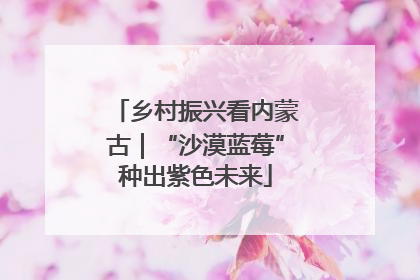 乡村振兴看内蒙古｜“沙漠蓝莓”种出紫色未来