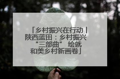 乡村振兴在行动丨陕西蓝田：乡村振兴 “三部曲” 绘就和美乡村新画卷