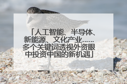 人工智能、半导体、新能源、文化产业……多个关键词透视外资眼中投资中国的新机遇